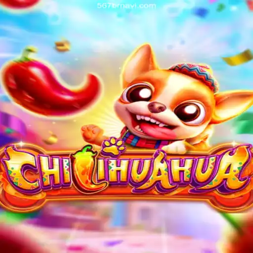 Exploring CHILIHUAHUA: A Thrilling Dive into Brazil's Premier Online Casino Experience